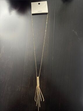 Express Gold-Tone Long Tassel Necklace Brand New